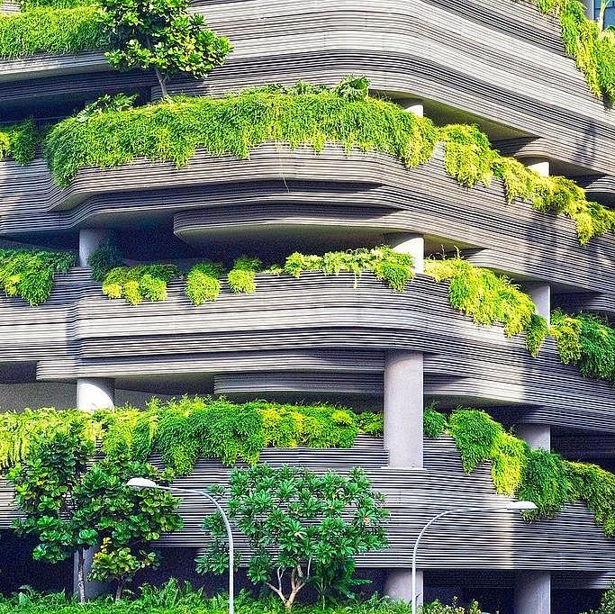 begrünte, moderne Hausversade