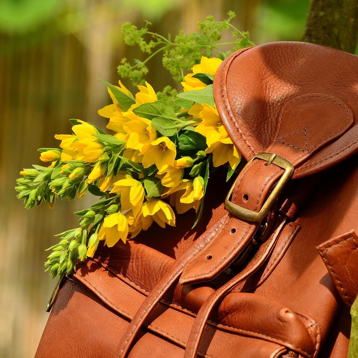 Rucksack mit Blumen darin