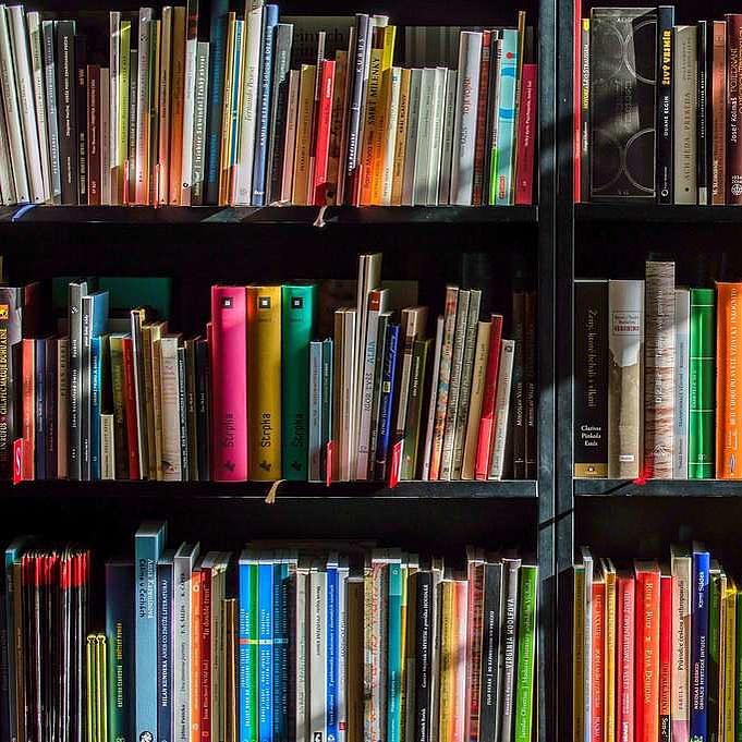 Bücherrücken in einem Bücherregal