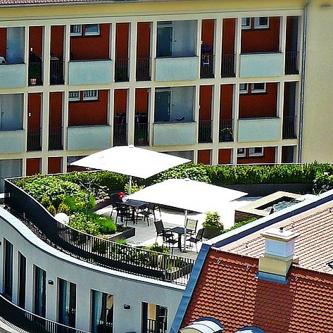 begrünte Dachterrasse
