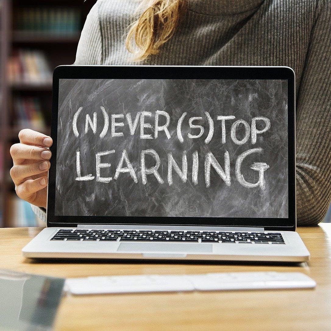 (N)ever (s)top Learning