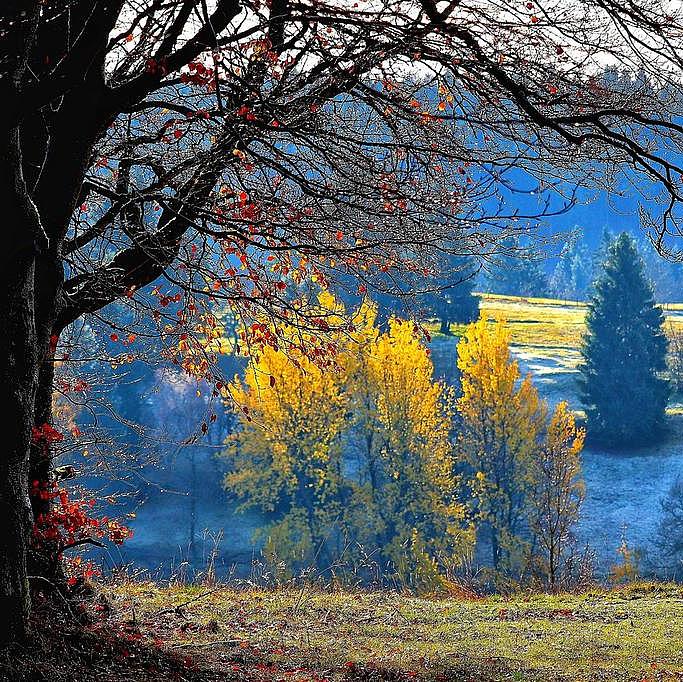 Nebel und Sonne im herbstlichen Thüringer Wald