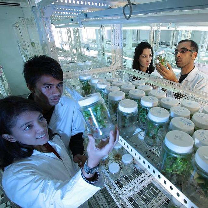 Vier wissenschaftliche Mitarbeiter im Labor