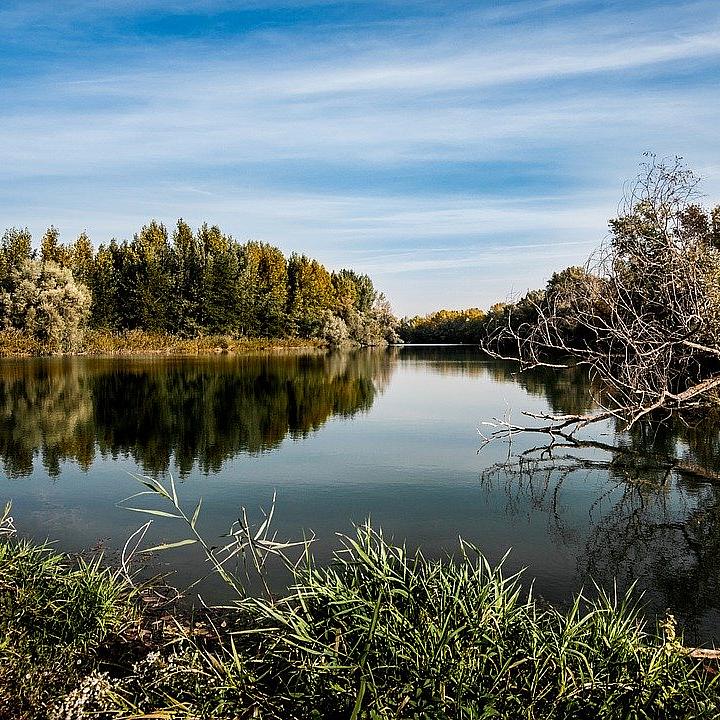 Fluss im Herbst